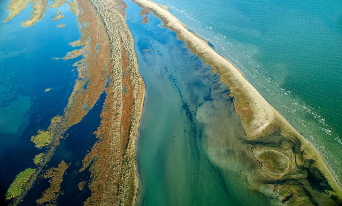 The Unforgettable Charm of Wild Beaches in the Danube Delta