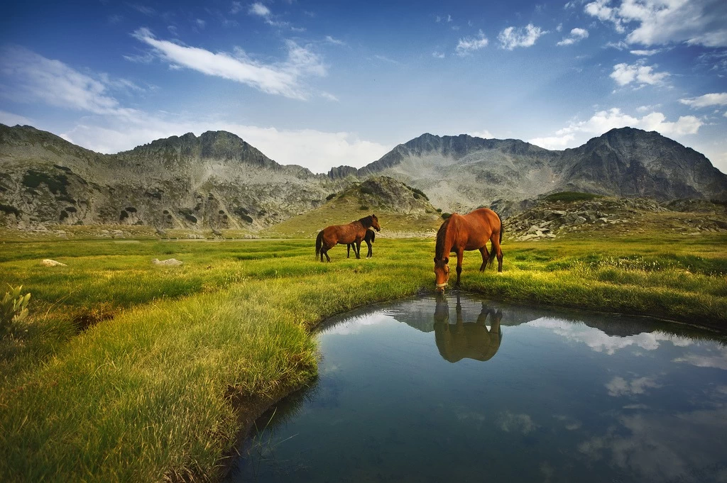 Parcul Național Pirin