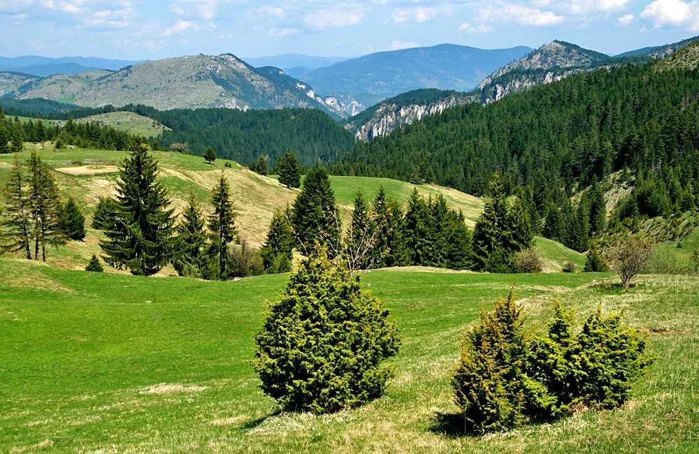 Parcul Național Rodopi