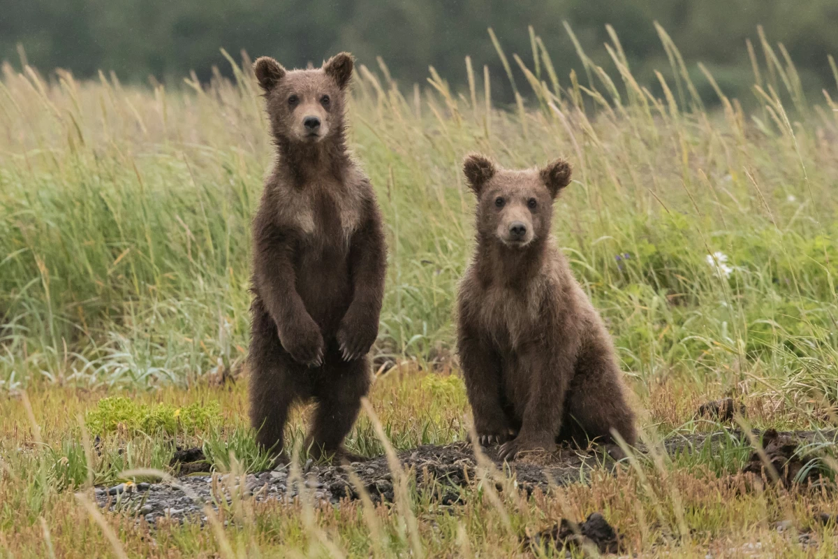 Nature Parks in Bulgaria – A Paradise for Outdoor Enthusiasts