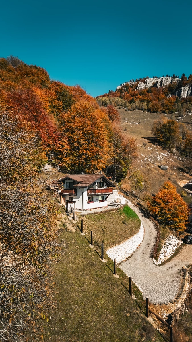 https://www.travlocals.com/uploads/0006/6170/2024/11/02/dji-fly-20241017-134632-0695-1729358868847-photo.webp