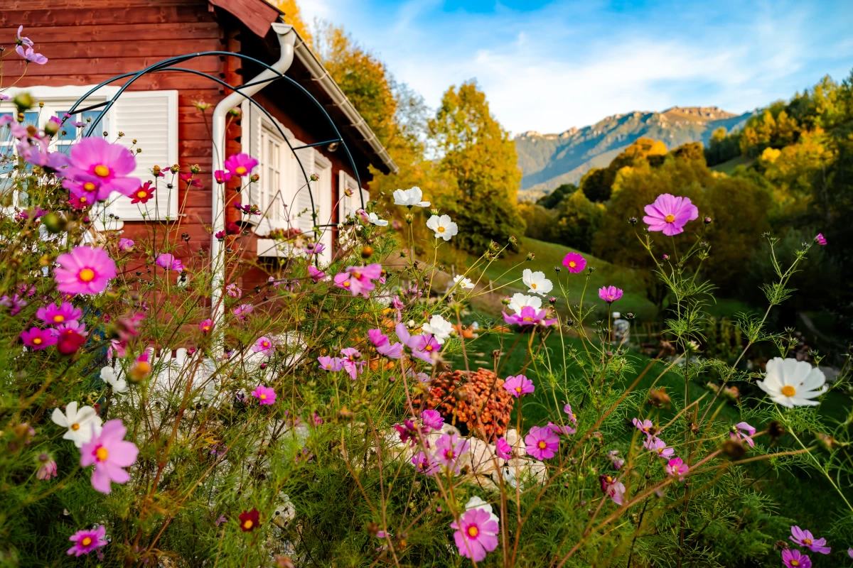 Hillside Tiny Cottage - Adult Only